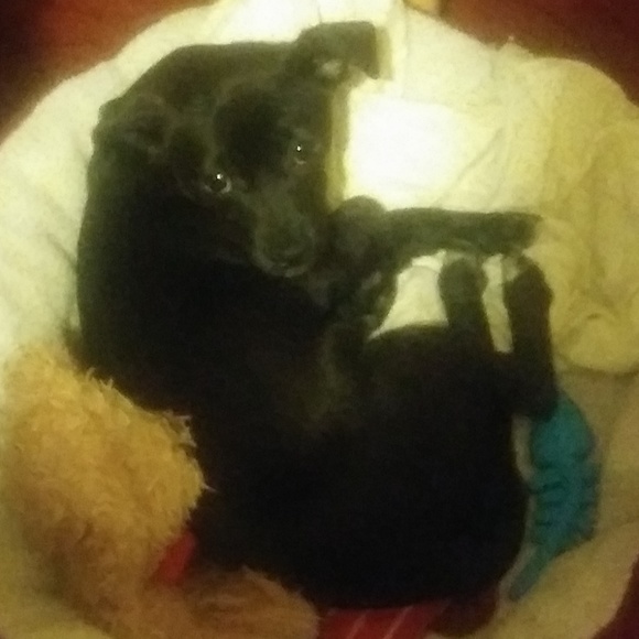 Meet your Posher, Sandra - Picture 2 of 2